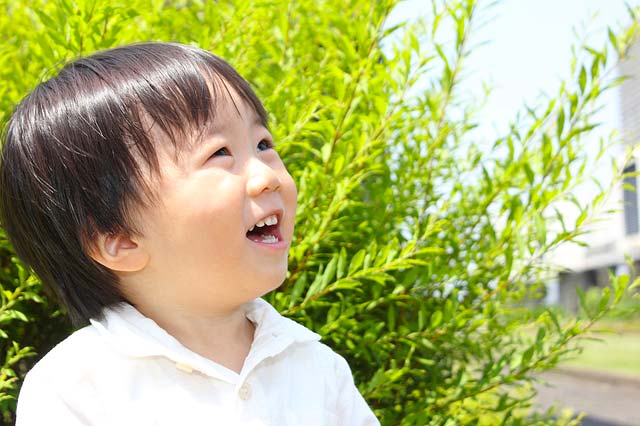 炭の効果への期待